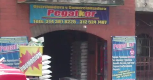 DISTRIBUIDORA Y COMERCIALIZADORA PEGATKOR DISTRIBUIDORA Y COMERCIALIZADORA PEGATKOR